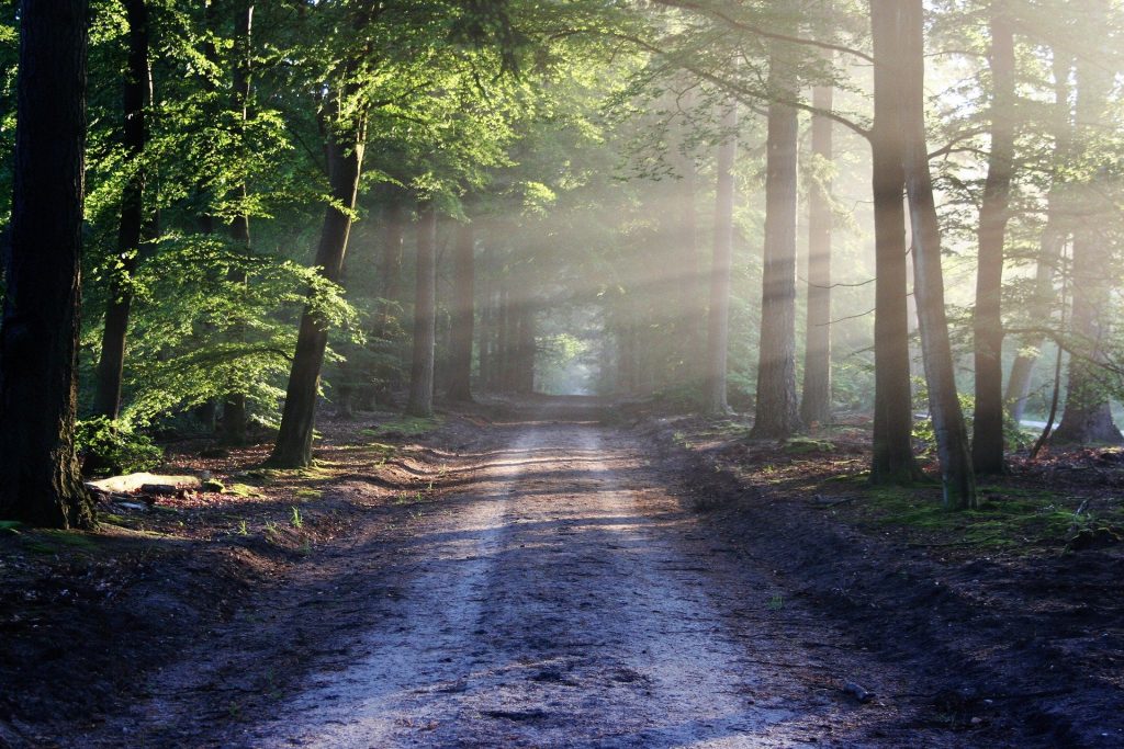 Route de road trip en van au coucher du soleil