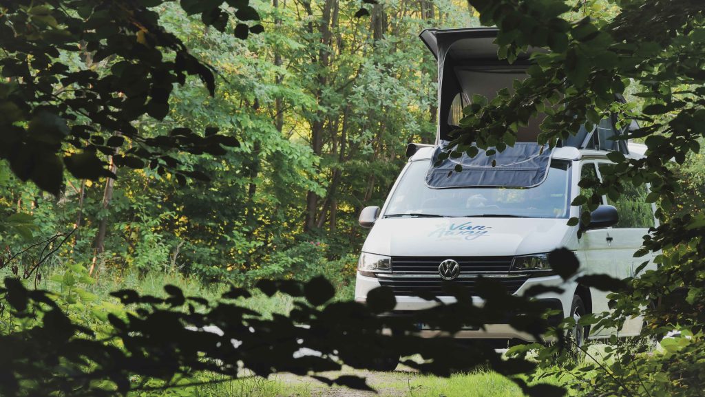 van foret feuillages chemin