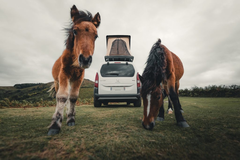 van amenage tente toit chevaux loire