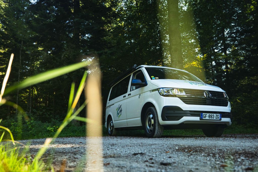 van away herbe foret sapins nature