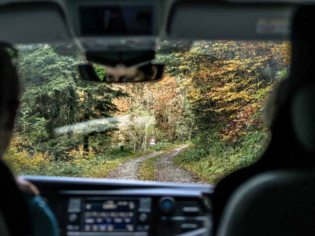 route foret van amenage