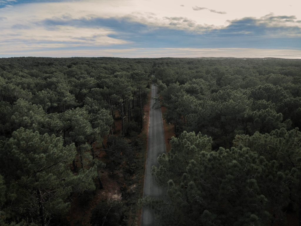 created by dji camera