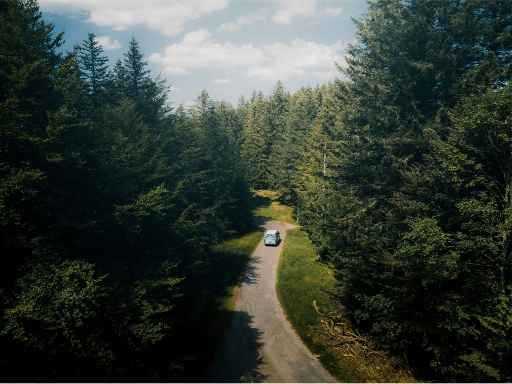 van route foret sapins parc naturel