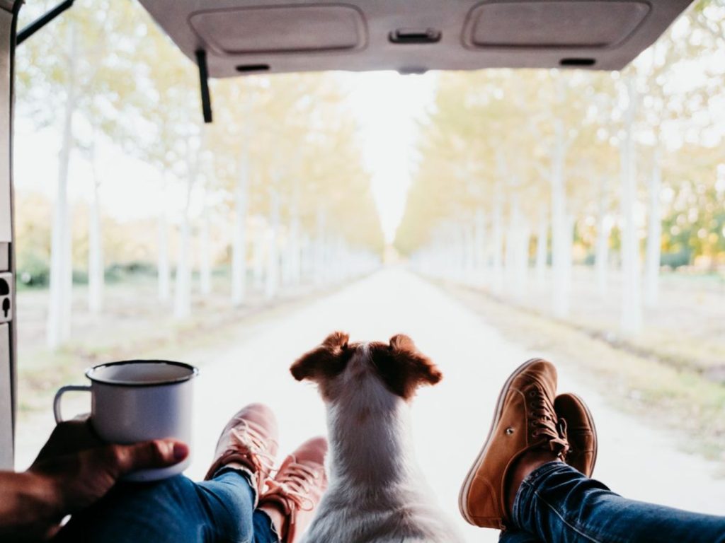amenagement van amenage chien