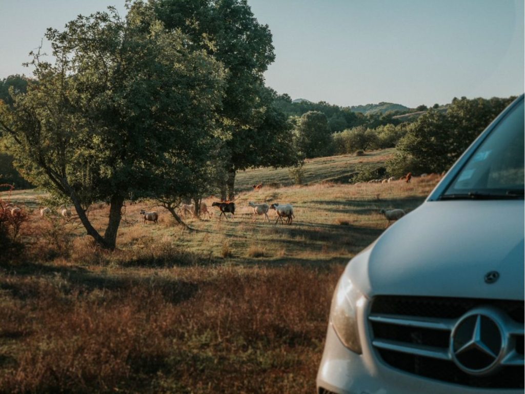 paysage automne roadtrip