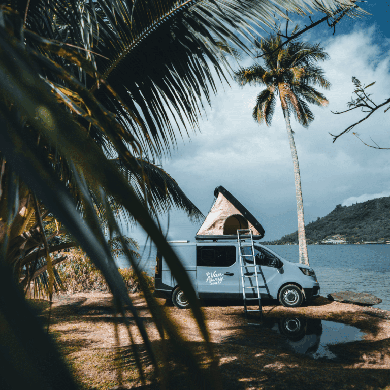 polynesie van carte cadeau